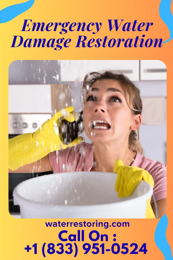 Emergency Water Damage Restoration in Hope, ID
