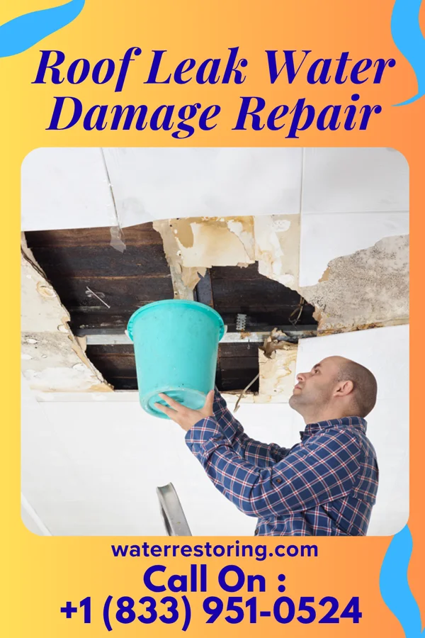 Roof Leak Water Damage Repair in Hope, ID